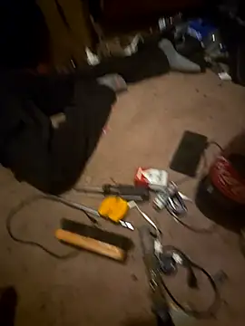 SillyRabbitz online show from November 25, 7:10 am