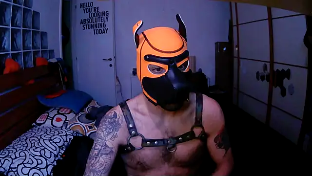 danix wild wolf online show from December 17, 10:03 pm