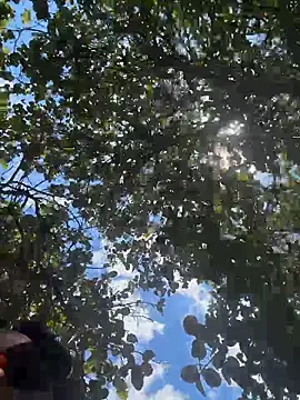 sweetsirenn online show from February 26, 4:06 pm