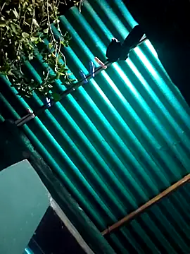 sexyboy fox online show from April 28, 3:00 am