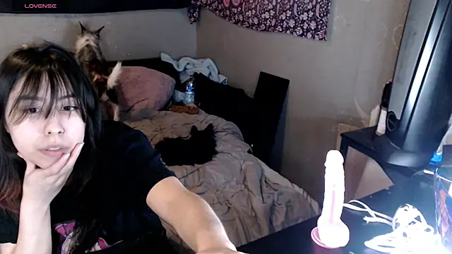 London Ray online show from December 17, 4:27 am