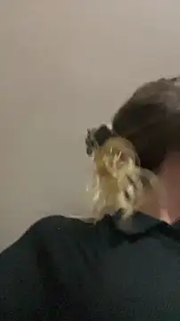 blond-96 online show from April 3, 4:32 am