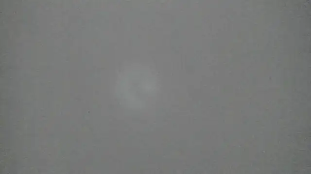 Sophia Ebony online show from February 10, 12:30 pm