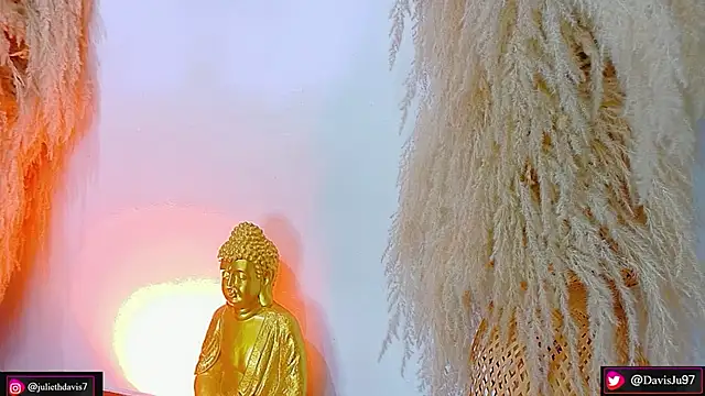 JulietaDavis online show from April 13, 2:02 am