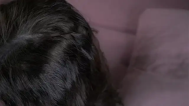 FalineBeacher online show from January 7, 5:49 pm