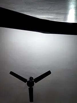 Tamil-Meenu12 online show from November 24, 8:27 am