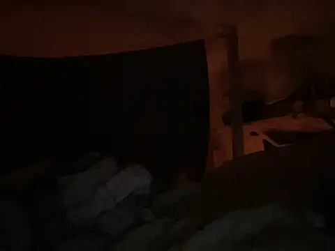 dddasani online show from November 21, 4:47 am