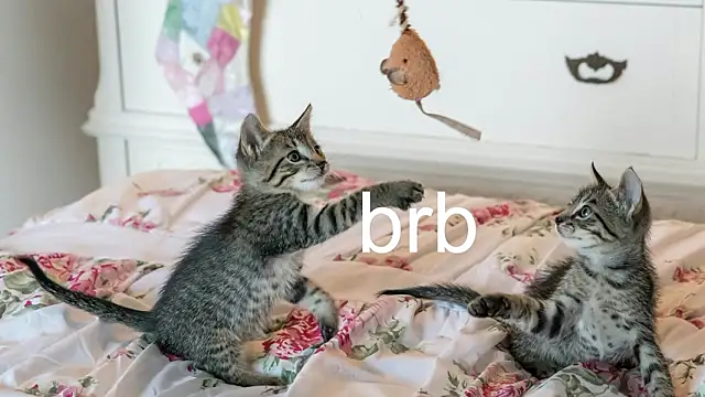 Pink girl0n online show from March 18, 9:53 pm