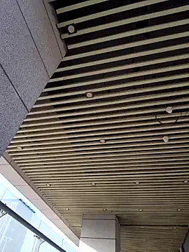 wsyx326 online show from March 22, 8:20 am