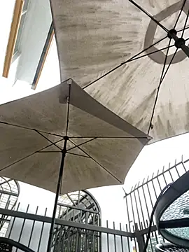 Sallem Pink online show from March 31, 11:10 am