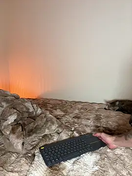 myc hot online show from February 27, 5:51 am