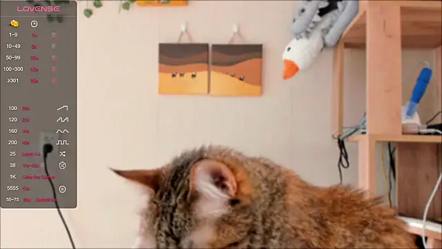 elilybby online show from March 13, 10:27 am