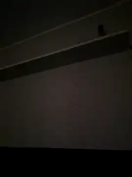 NibbleSweetie online show from December 13, 8:48 pm