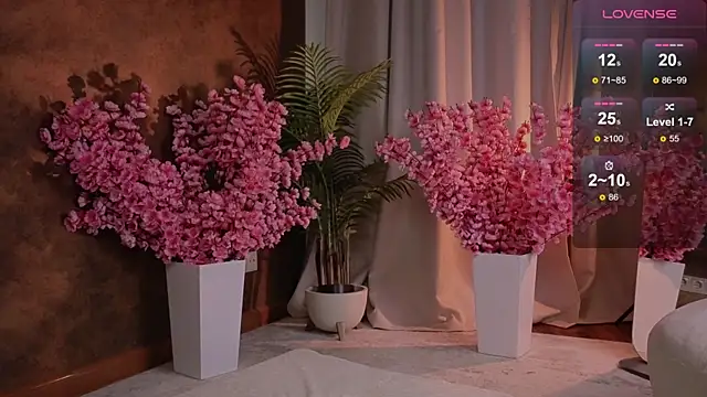 arcane doll online show from October 19, 5:09 am