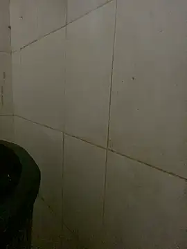 PhanHaa online show from February 25, 1:09 pm