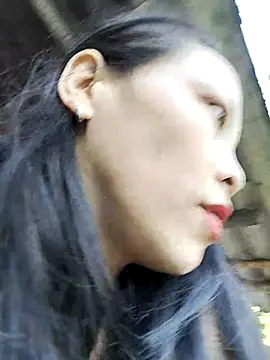 Sinejdk3 online show from November 27, 8:06 am