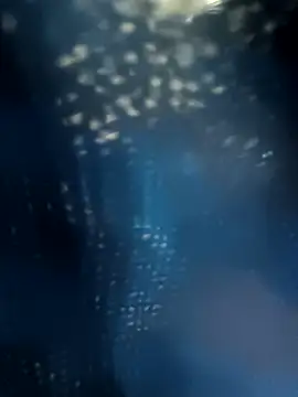 butterfly777  online show from November 8, 2:55 pm