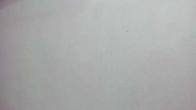 scarlett646 online show from November 14, 3:17 am