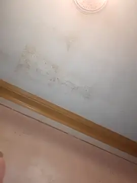 Klubnyhka3991 online show from December 16, 9:31 pm