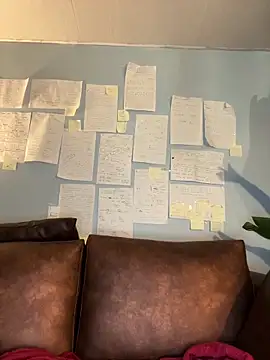 Canneela online show from March 9, 1:31 am