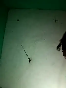 Sapna9685 online show from November 18, 11:26 pm