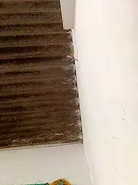 Sapna9685 online show from November 15, 9:10 am