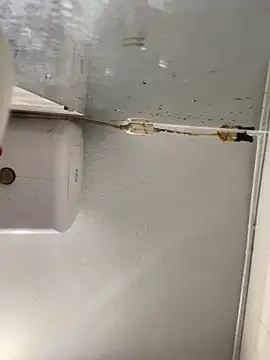 Pyy07 online show from February 20, 11:56 am