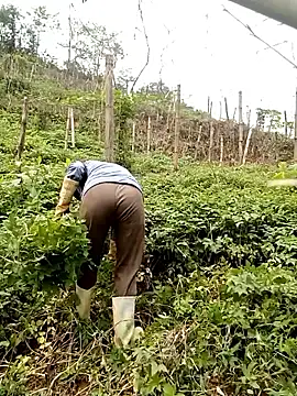 ngan-cute online show from March 26, 4:47 am