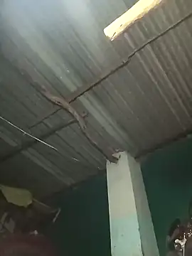 Hot-honi online show from September 19, 1:43 pm