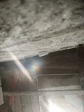 SaraBust online show from April 5, 5:06 am