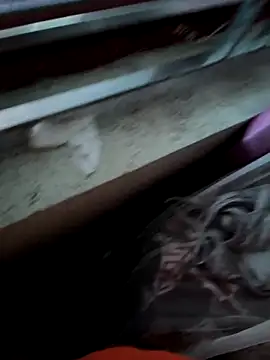 Zinsetka online show from October 30, 7:22 am