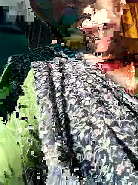 Pooja750 online show from March 27, 7:10 am