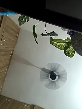 Spoorthi6 Kannada Telugu online show from March 8, 4:33 pm