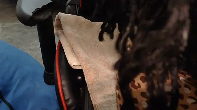 Gmajor online show from October 4, 8:24 pm