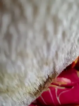 Hot pooja55 online show from December 4, 12:35 am