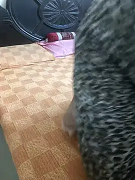 payal 261072  online show from December 2, 3:30 am