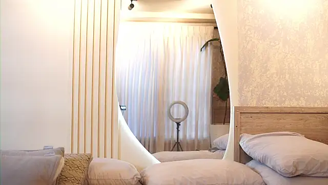 Tayler Kim online show from November 8, 7:30 pm