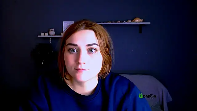 casey meow  online show from November 9, 11:17 am