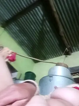 Haliya88 online show from December 19, 3:15 pm