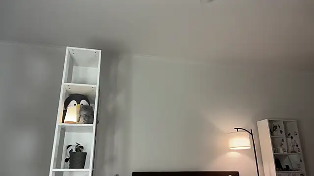 yourlittlesunrise  online show from February 1, 5:28 am