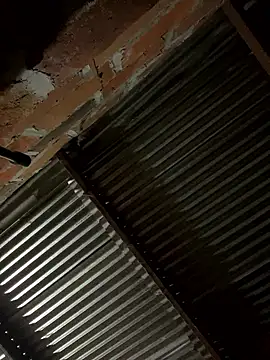 lady and charly online show from January 19, 12:12 pm