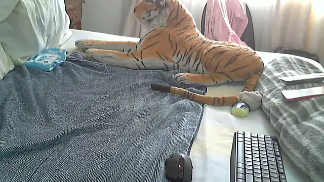 Hotcougar online show from January 14, 9:25 am