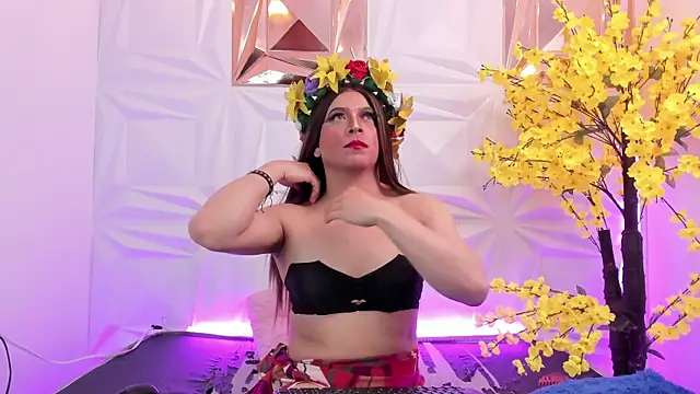 NovaNight  online show from November 3, 12:31 pm