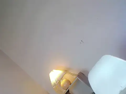 water lily28 online show from March 13, 11:11 am