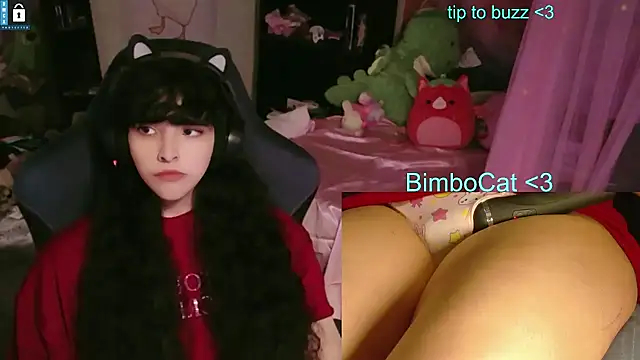 BimboCat online show from June 11, 8:27 pm