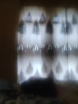 SexyLipss  online show from July 13, 11:55 am
