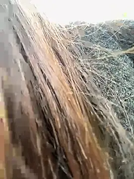 luna-sisi online show from May 8, 7:00 am