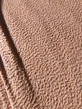 WillfulVideo online show from February 7, 8:07 am