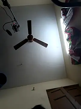 Varshatamil online show from November 12, 4:49 pm