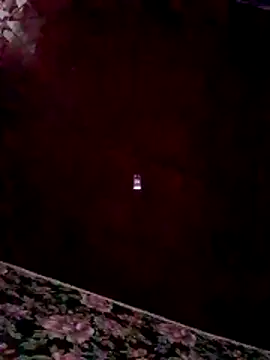 RomiTreats online show from November 26, 11:33 am